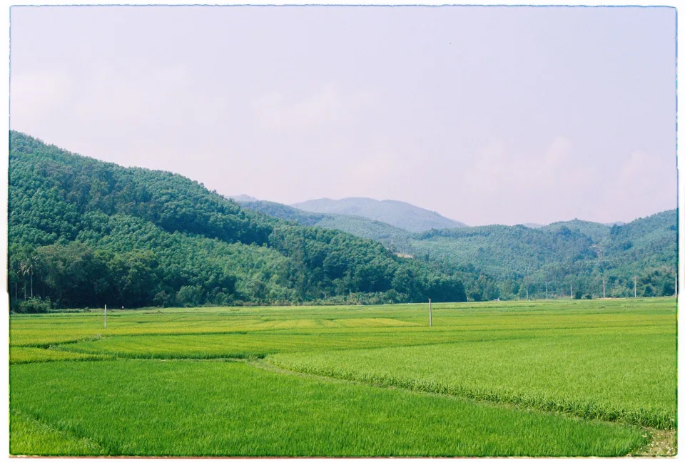 Kho gạo của Lương Trương Đức
